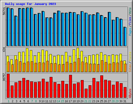 Daily usage for January 2023