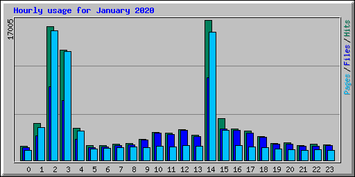 Hourly usage for January 2020