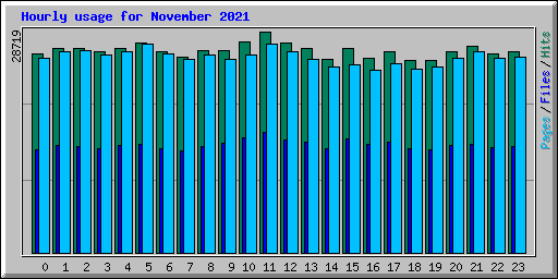 Hourly usage for November 2021