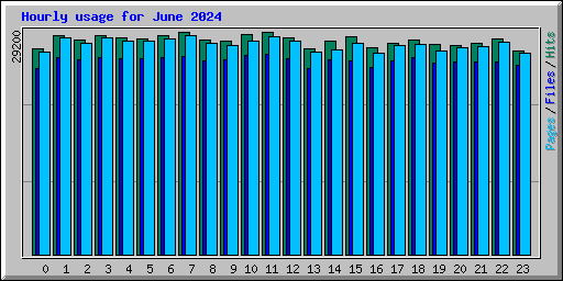 Hourly usage for June 2024