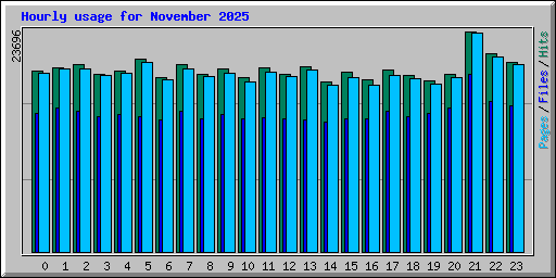 Hourly usage for November 2025