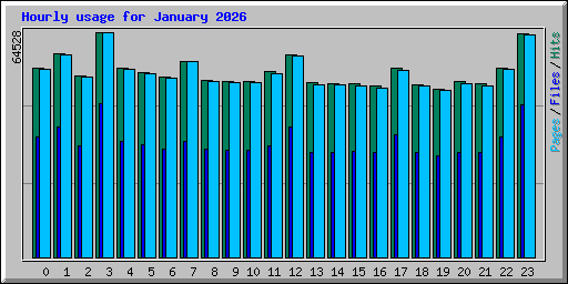 Hourly usage for January 2026