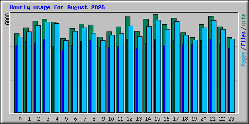 Hourly usage for August 2026