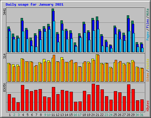 Daily usage for January 2021