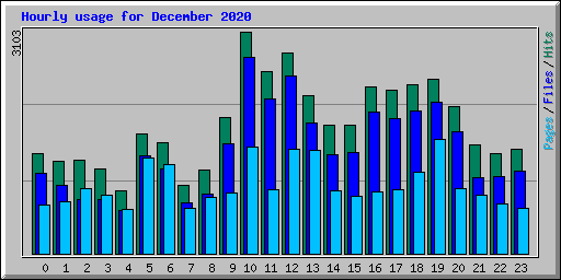 Hourly usage for December 2020