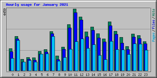 Hourly usage for January 2021