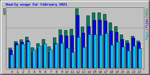 Hourly usage for February 2021