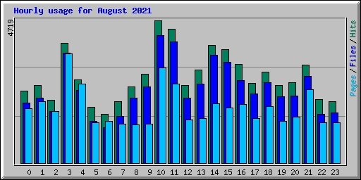 Hourly usage for August 2021