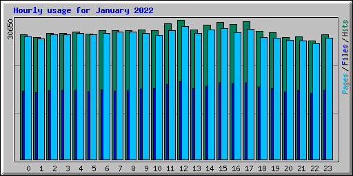 Hourly usage for January 2022