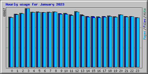 Hourly usage for January 2023