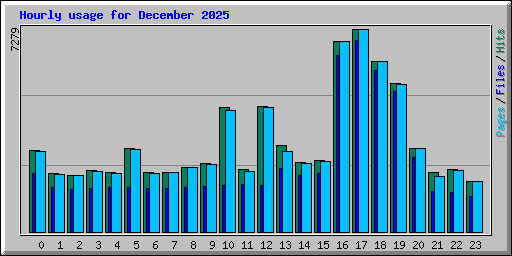 Hourly usage for December 2025